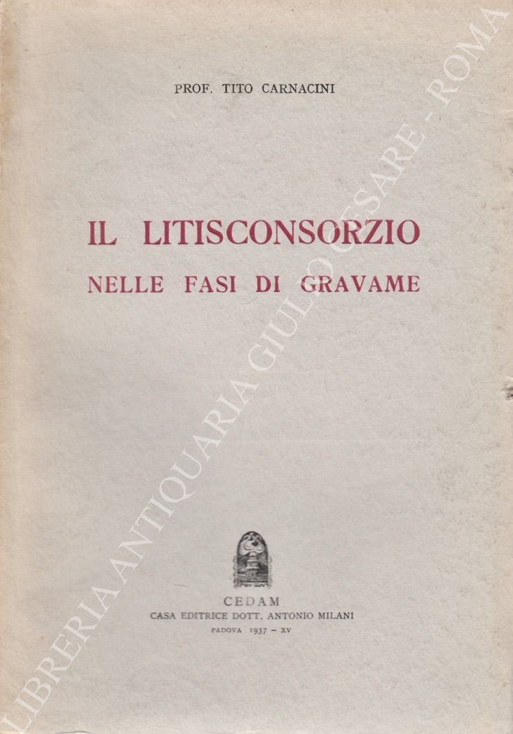 Il litisconsorzio nelle fasi di gravame