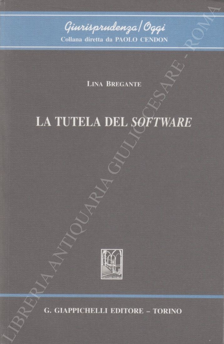 La tutela del software