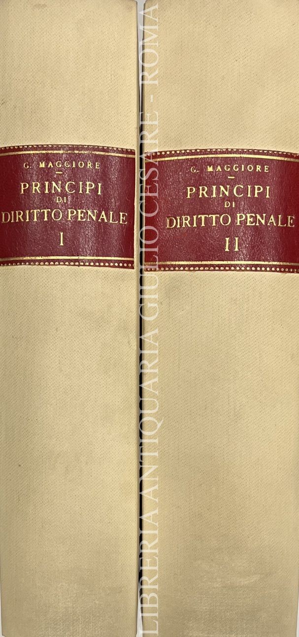 Principi di diritto penale