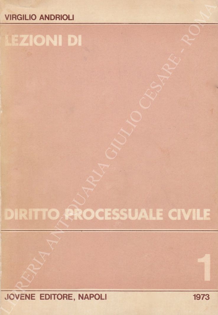 Lezioni di diritto processuale civile