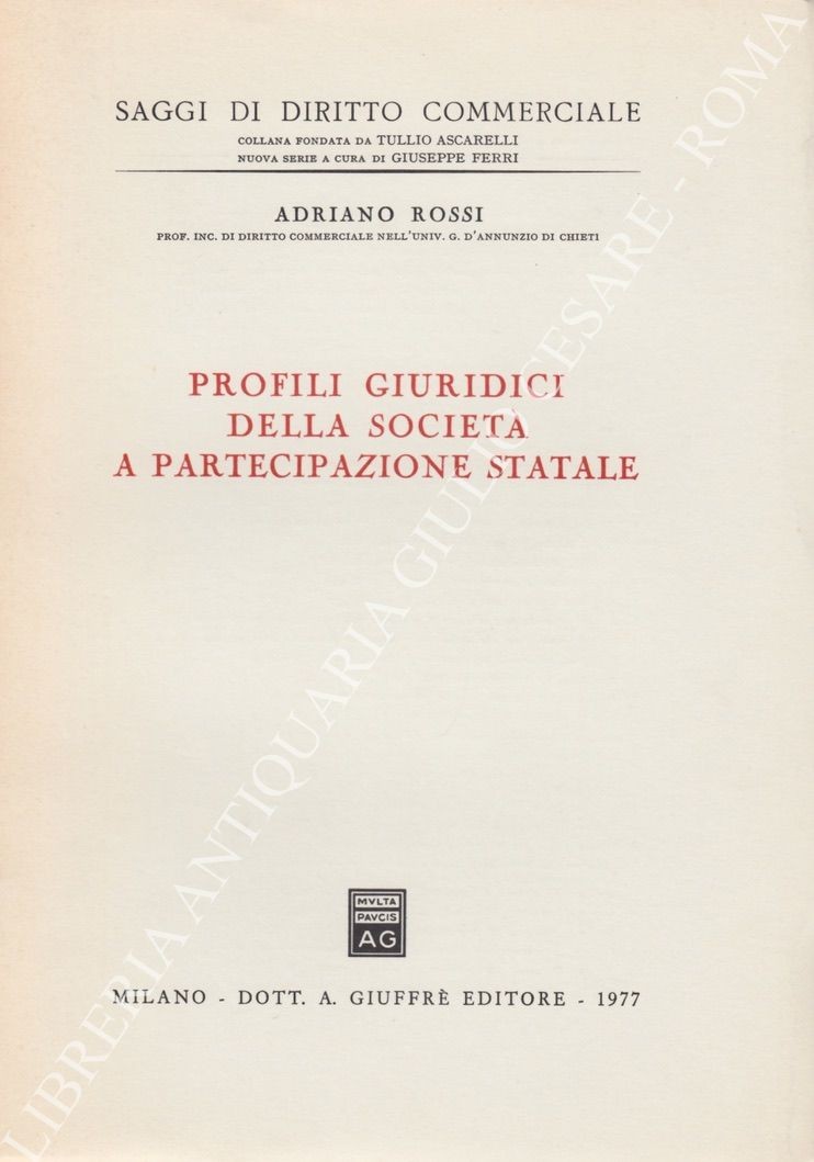 Profili giuridici della società a partecipazione statale