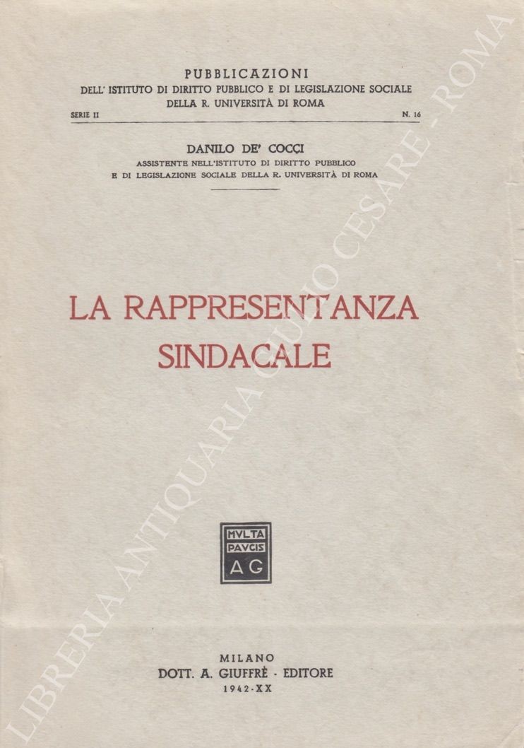 La rappresentanza sindacale