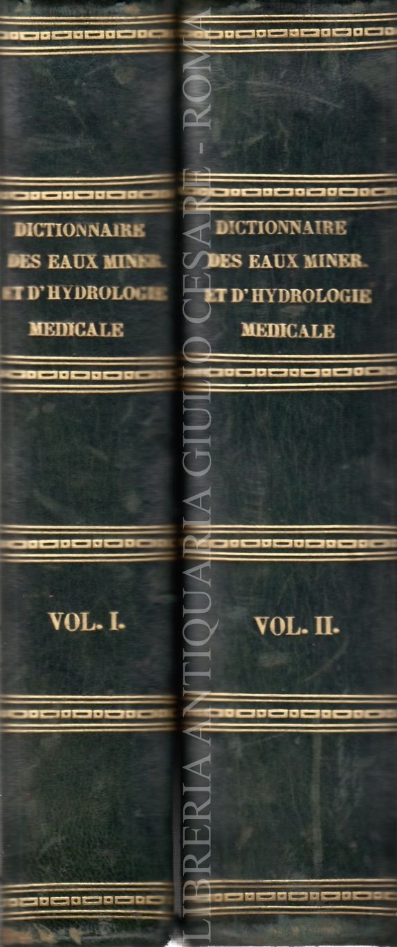 Dictionnaire general des eaux minerales
