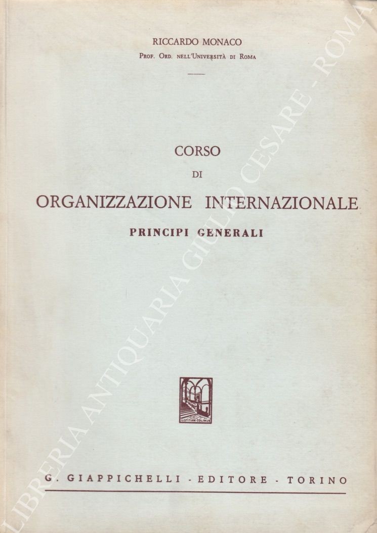 Corso di organizzazione internazionale