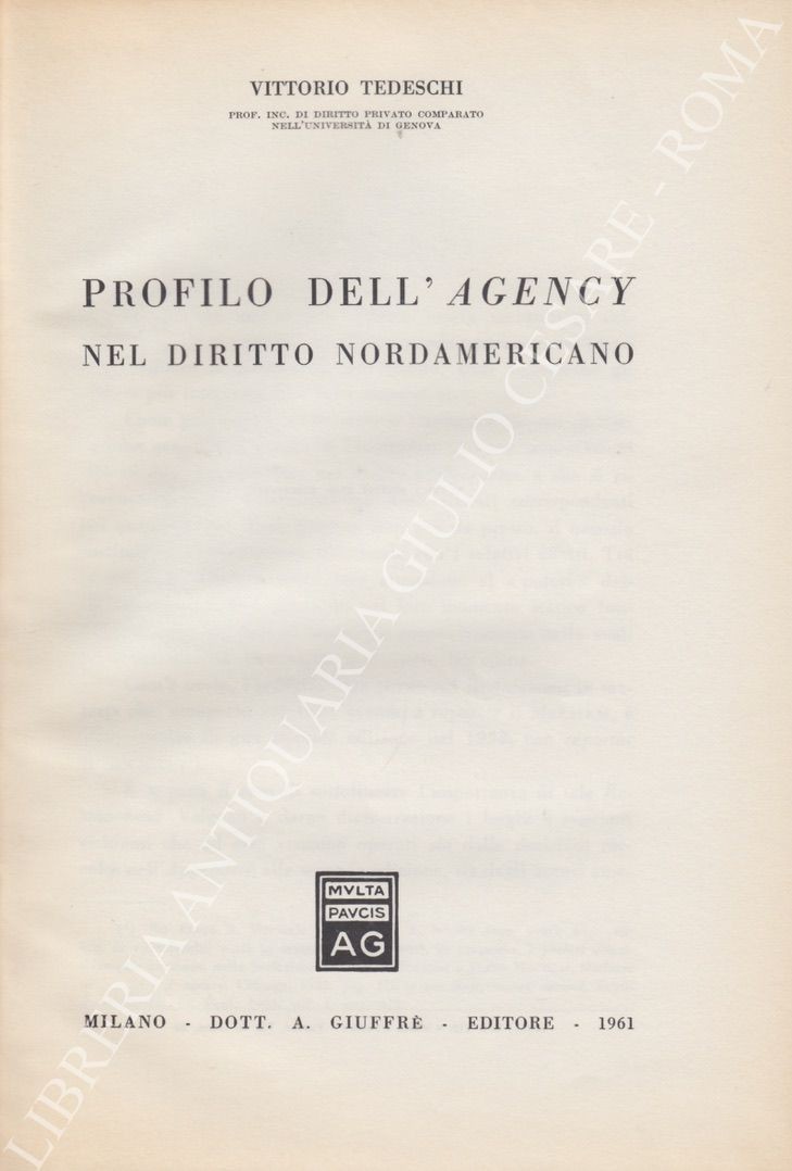 Profilo dell'Agency nel diritto nordamericano
