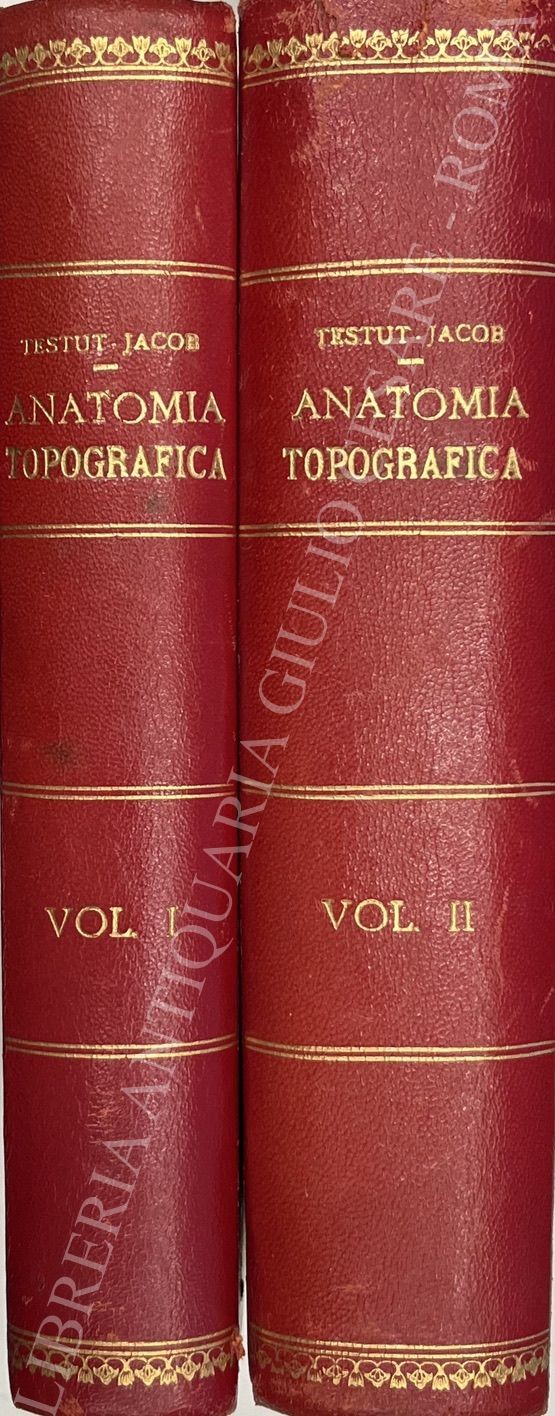 Trattato di anatomia topografica