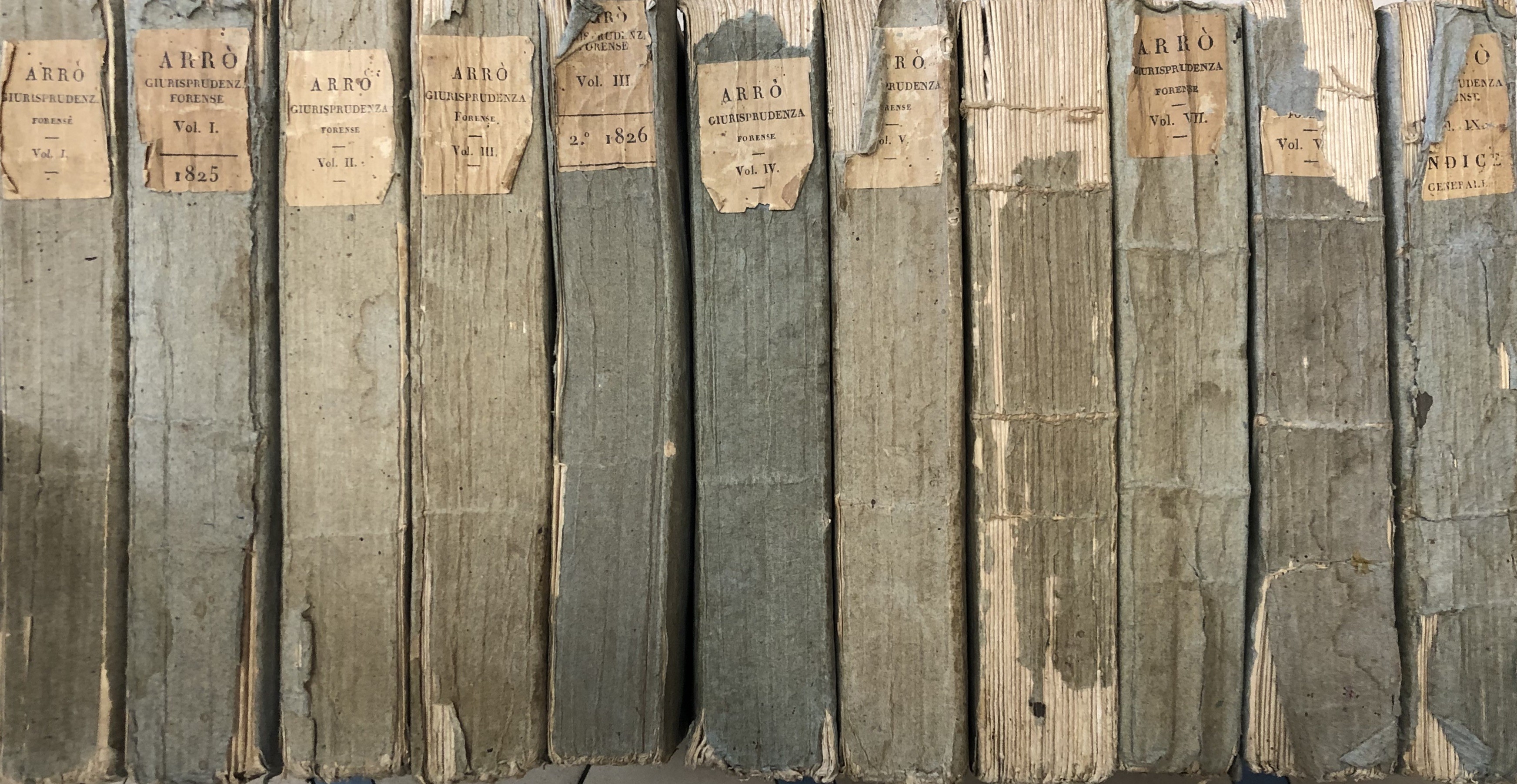 Giurisprudenza forense 