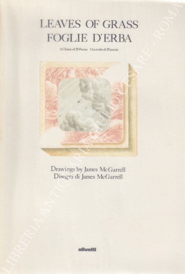 Leaves of grass. Foglie d'erba