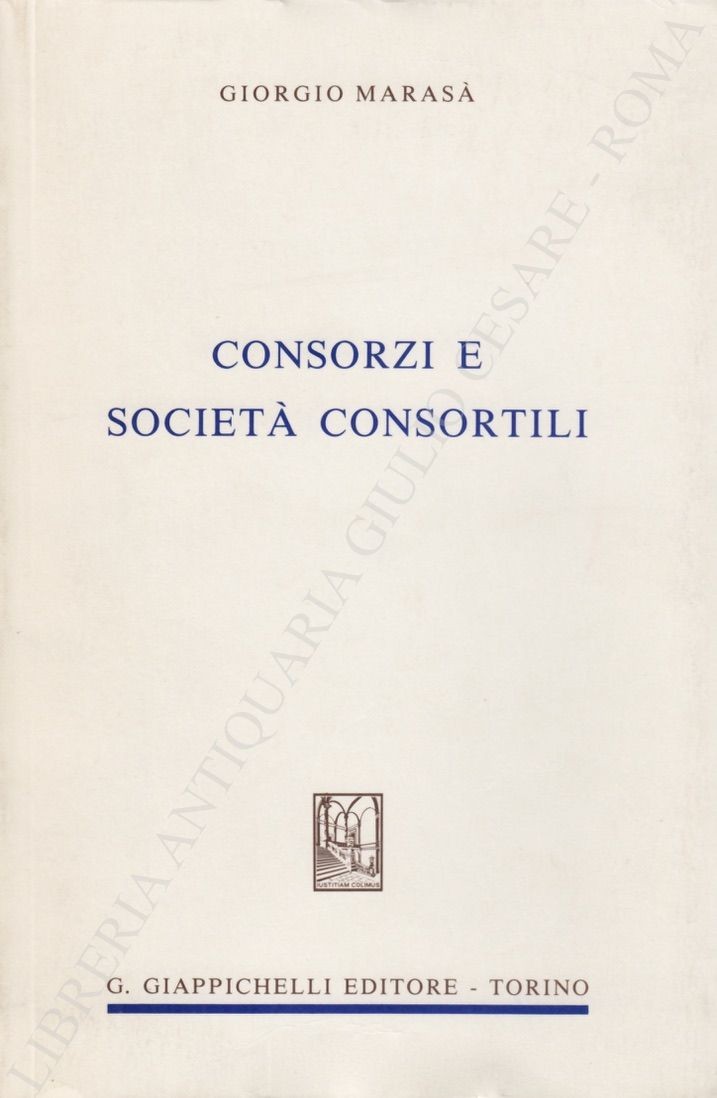 Consorzi e società consortili