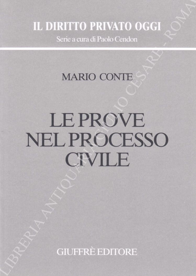 Le prove nel processo civile