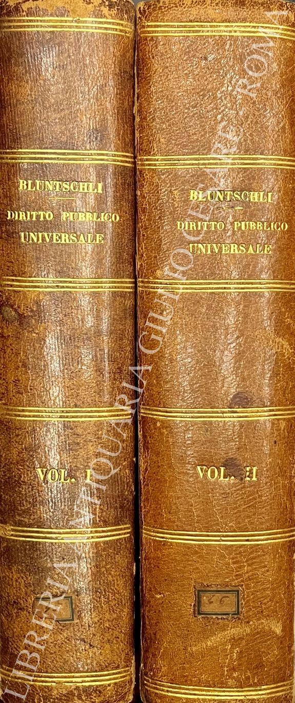 Diritto pubblico universale