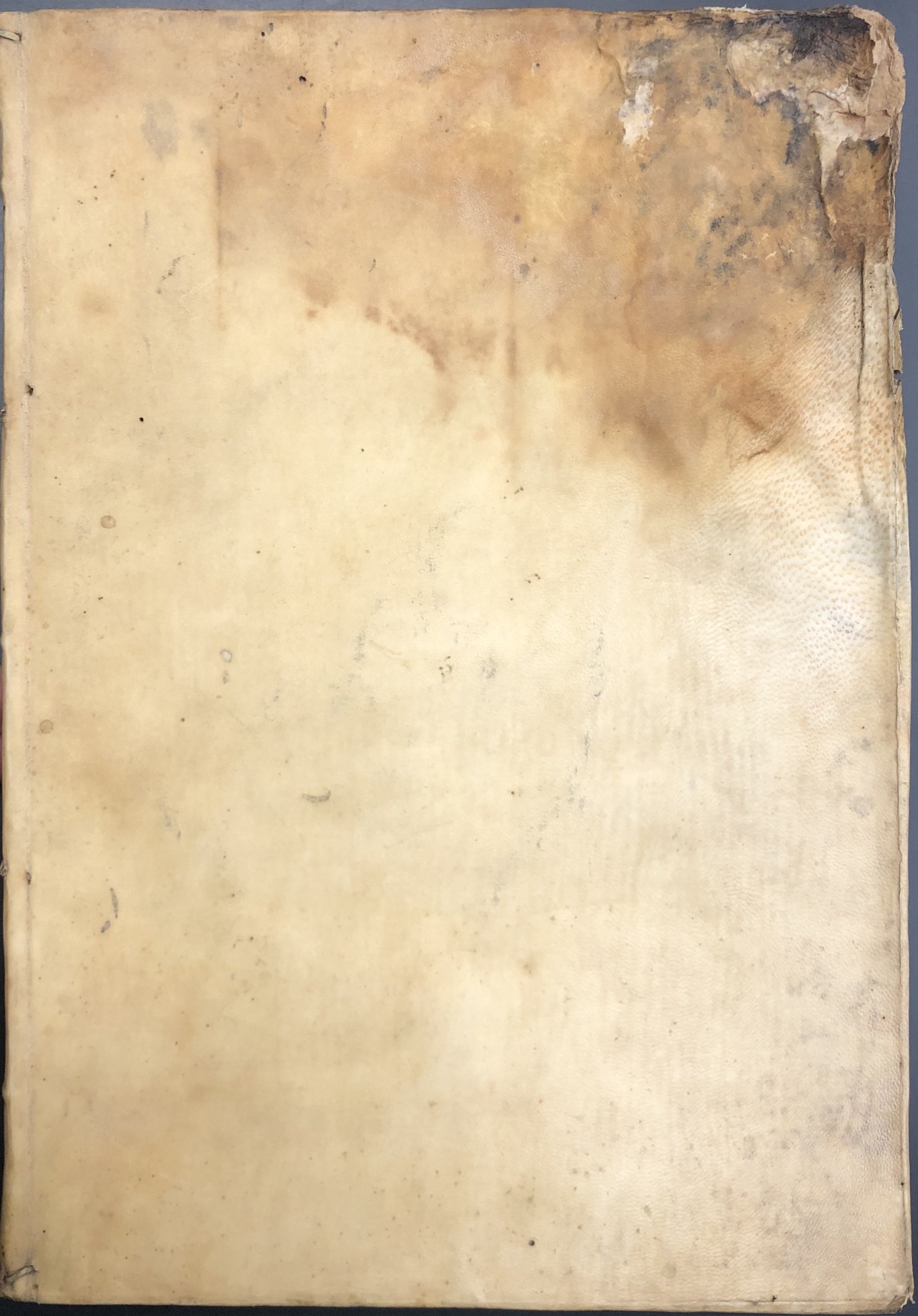 Saggi di naturali esperienze