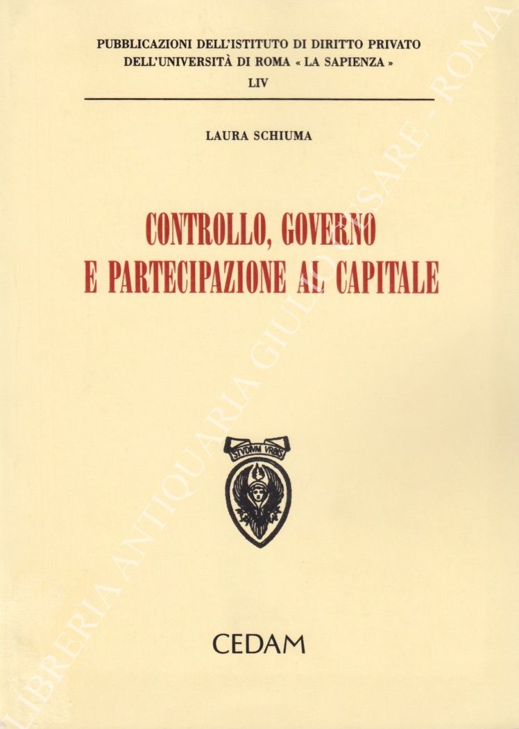 Controllo, governo e partecipazione al capitale