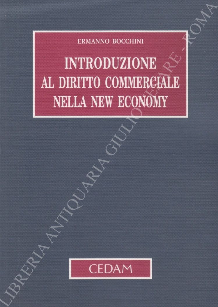 Introduzione al diritto commerciale nella new economy