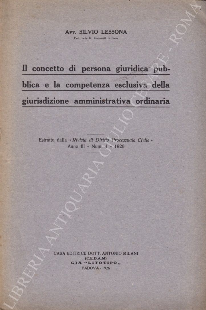 Il concetto di persona giuridica pubblica