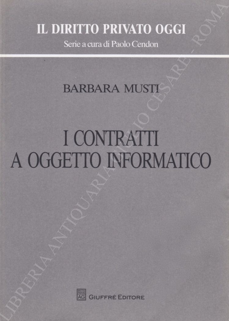 I contratti a oggetto informatico