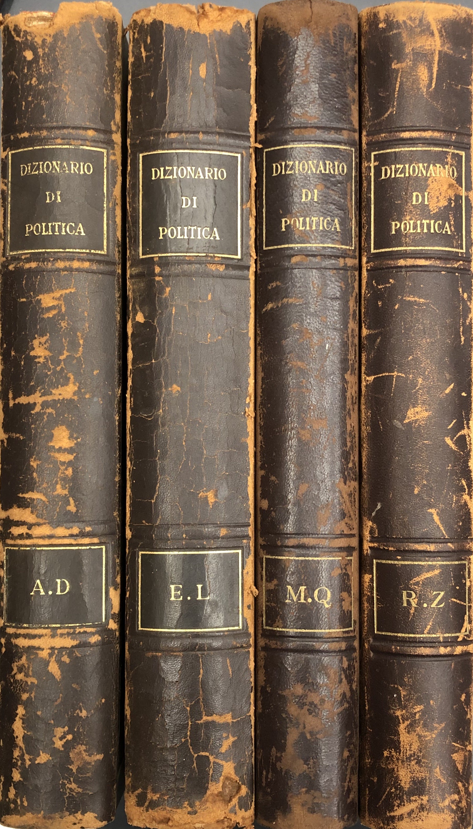 Dizionario di politica