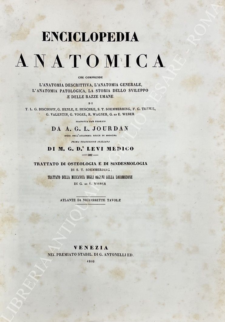 Enciclopedia anatomica