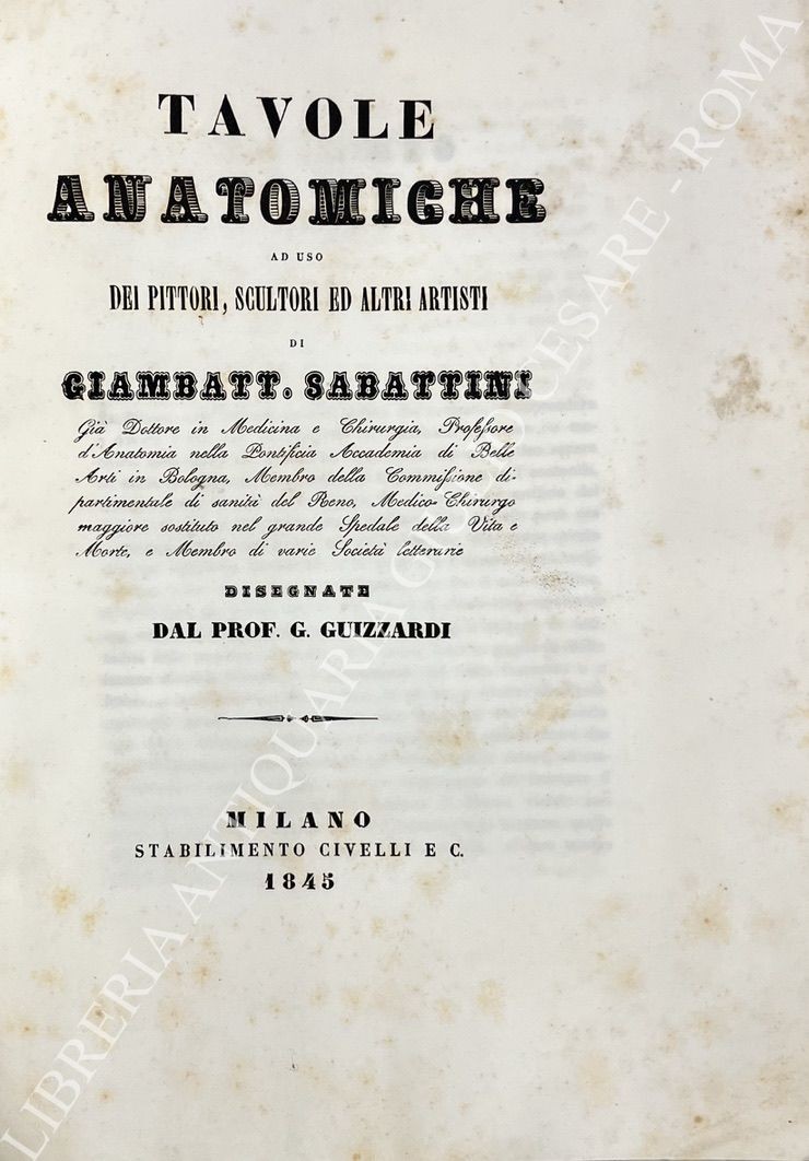 Tavole anatomiche ad uso dei pittori, scultori ed altri artisti