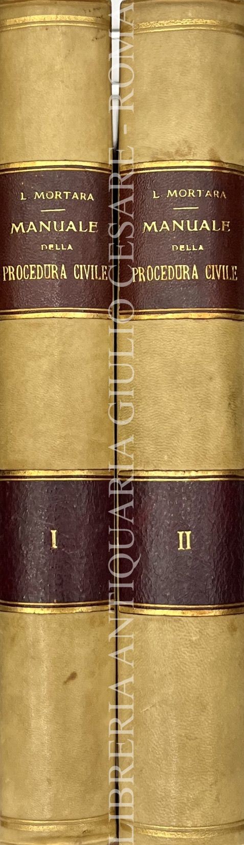 Manuale della procedura civile