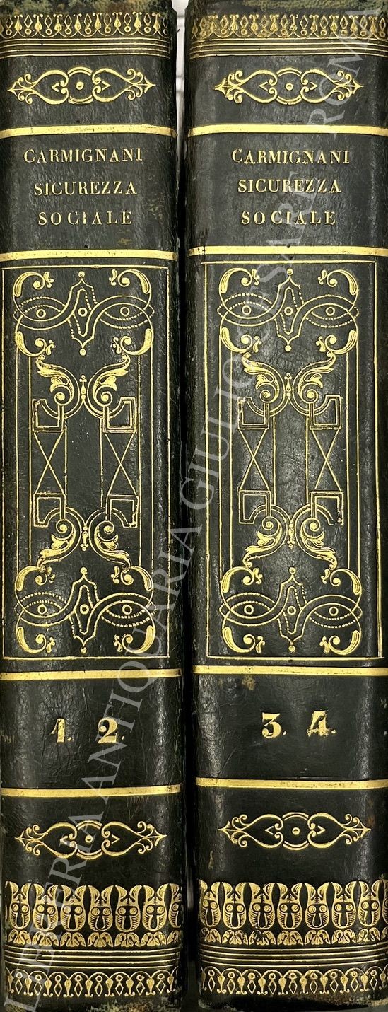 Teoria delle leggi della sicurezza sociale