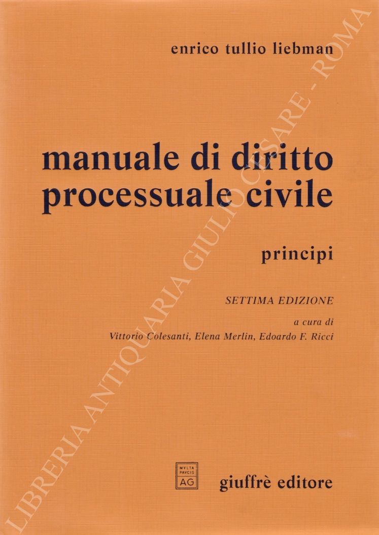 Manuale di diritto processuale civile