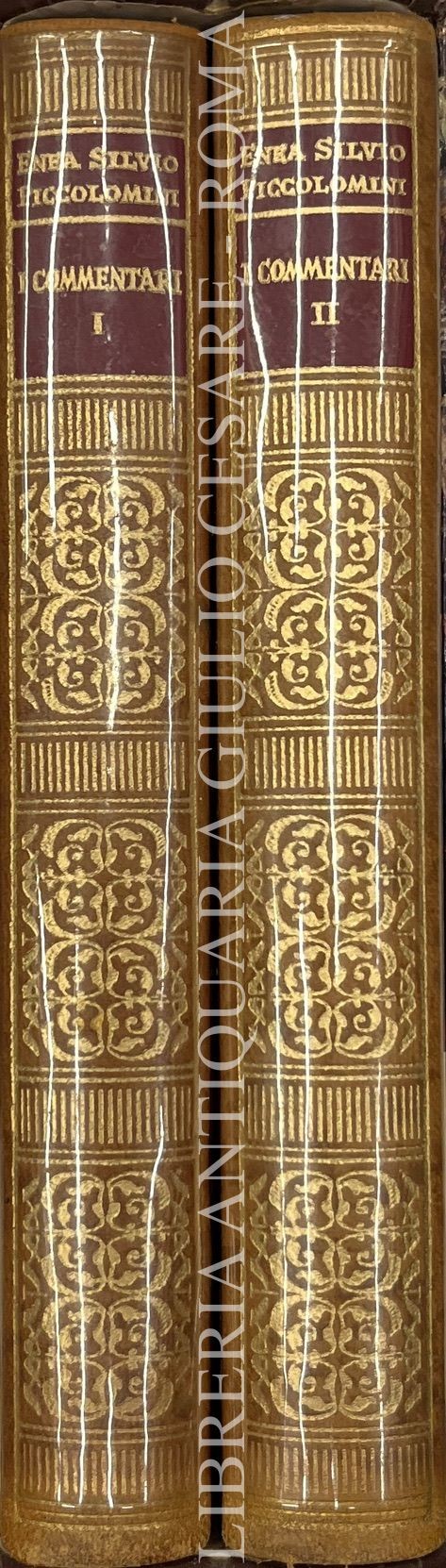 I commentari. A cura di Giuseppe Bernetti