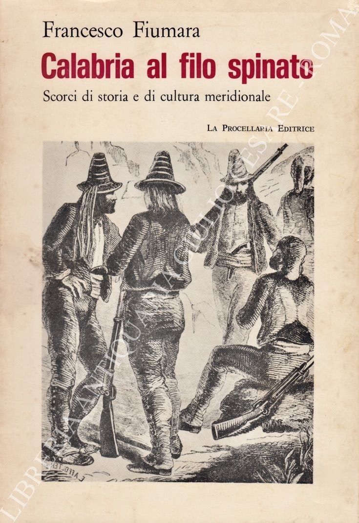 Calabria al filo spinato. Scorci di storia e di cultura meridionale 