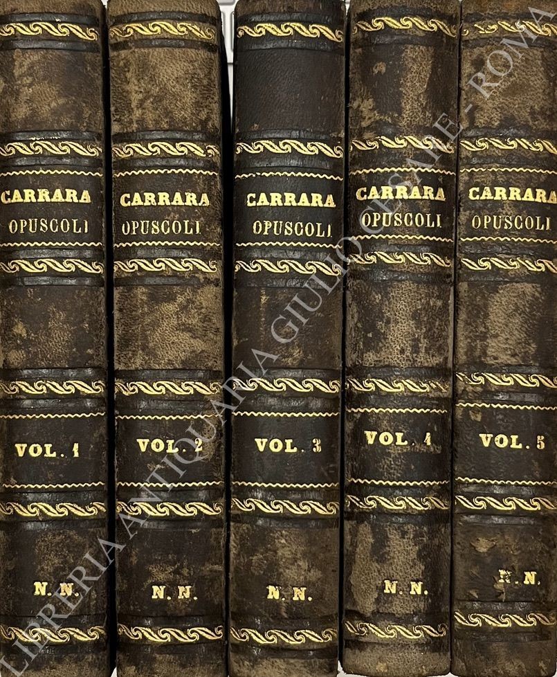 Opuscoli di diritto criminale