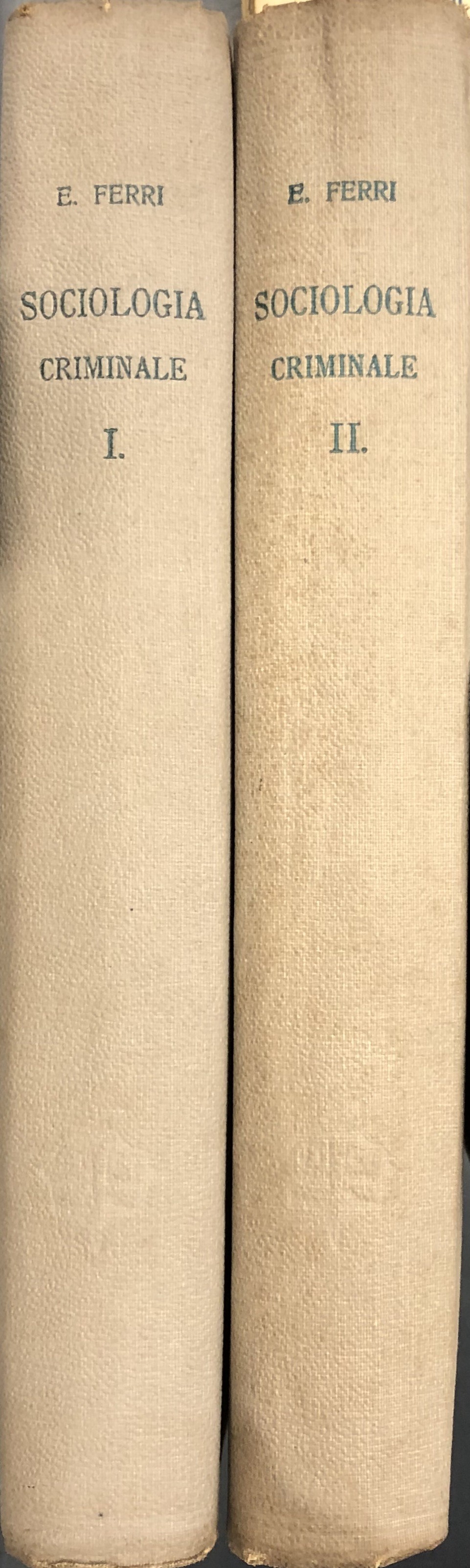 Sociologia criminale