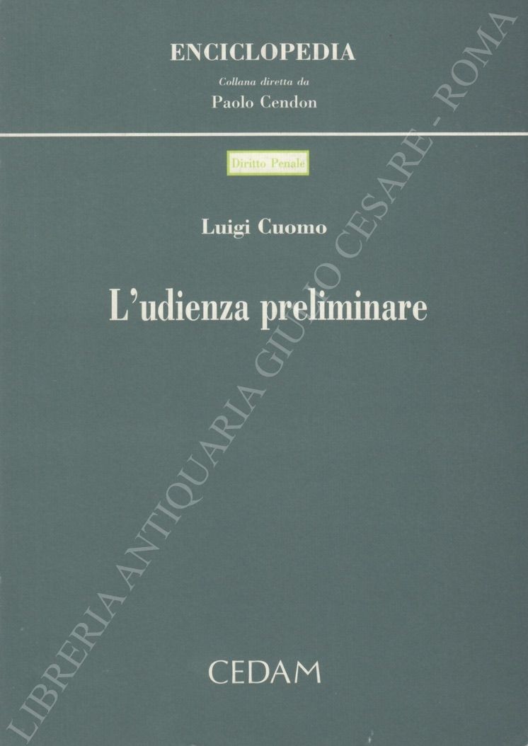 L'udienza preliminare