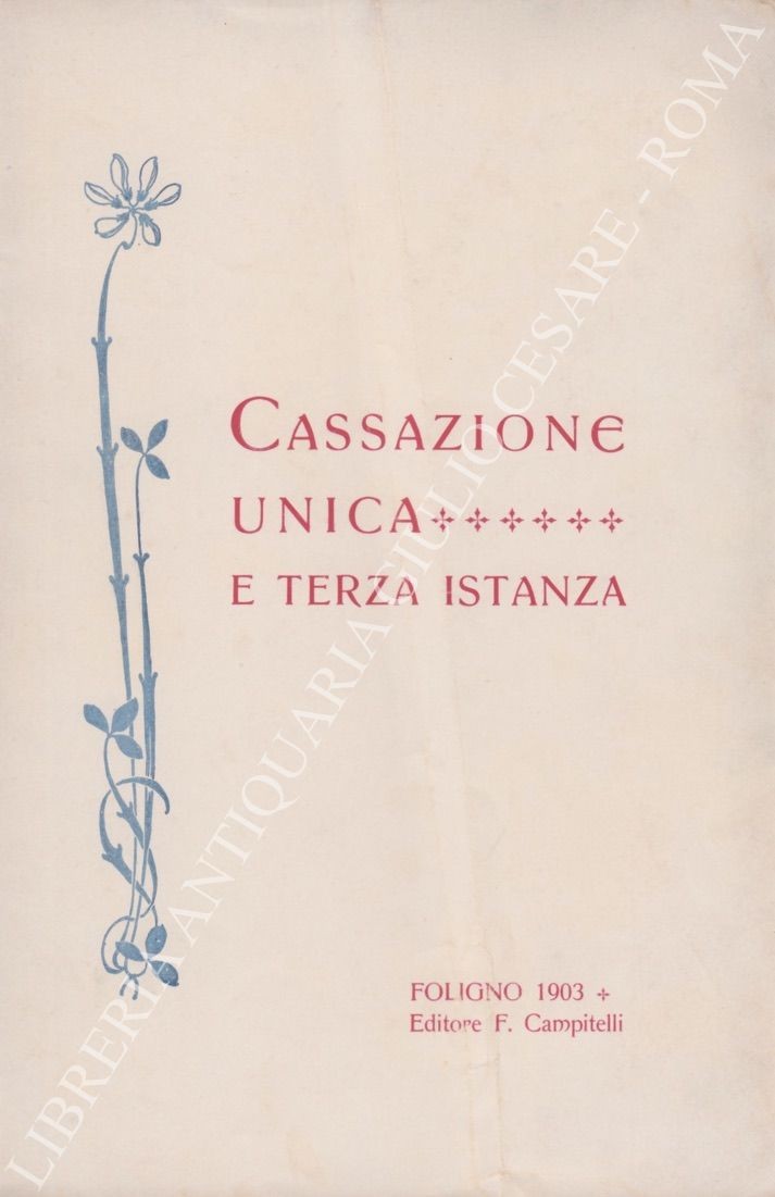 Cassazione unica e terza istanza