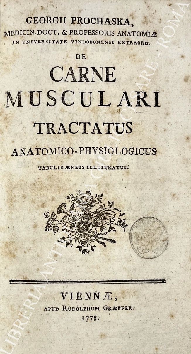 De carne musculari tractatus anatomico - physiologicus