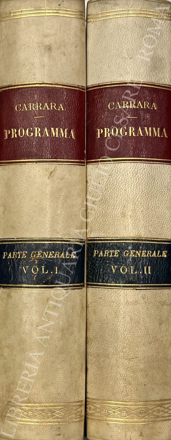 Programma del corso di diritto criminale