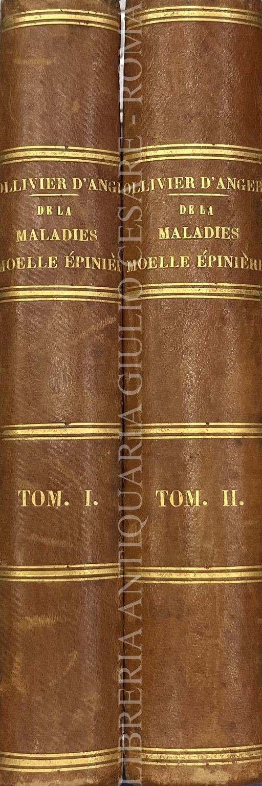 Traite des maladies de la moelle epiniere