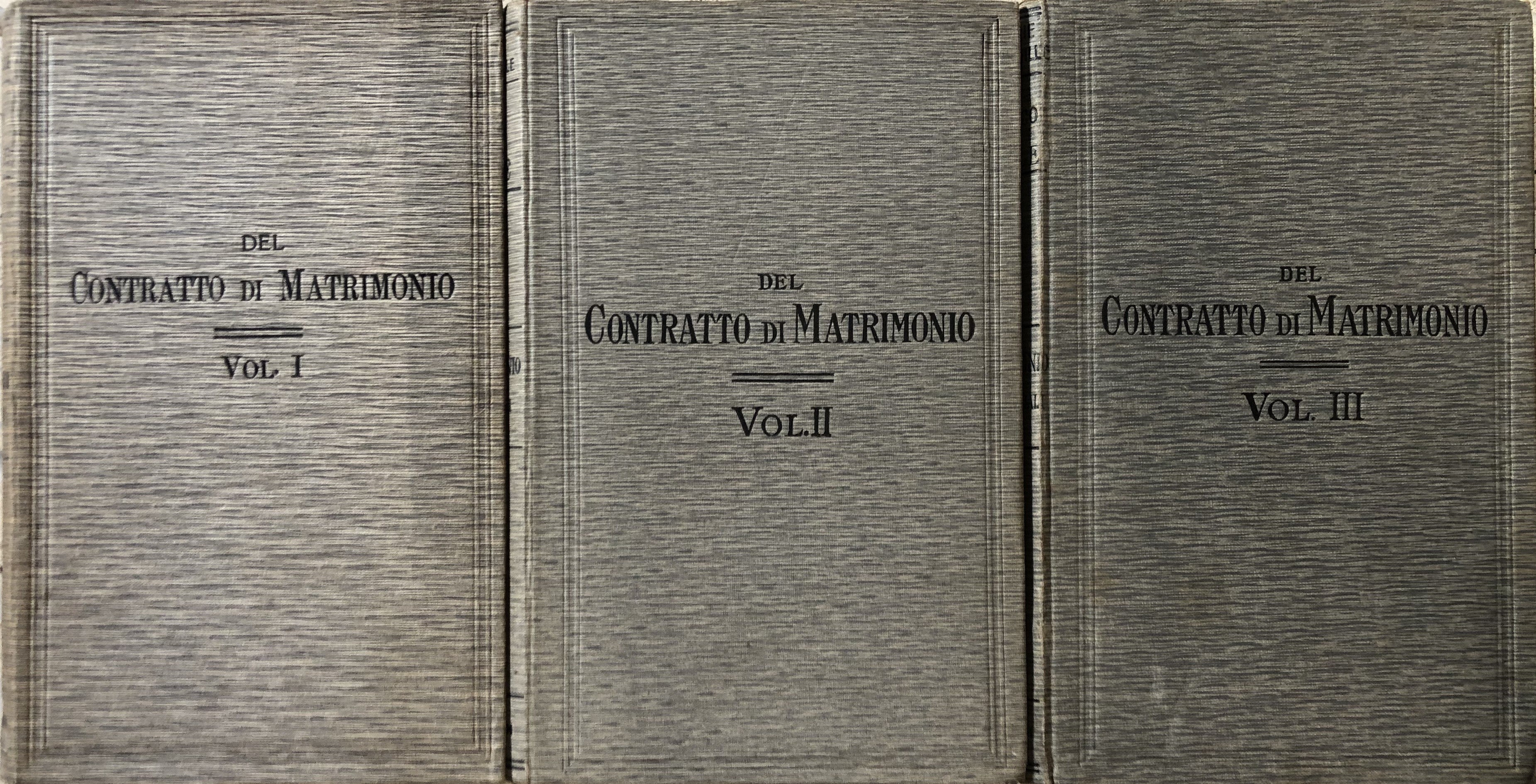Trattato teorico pratico di diritto civile. Del contratto di matrimonio o dei regimi matrimoniali