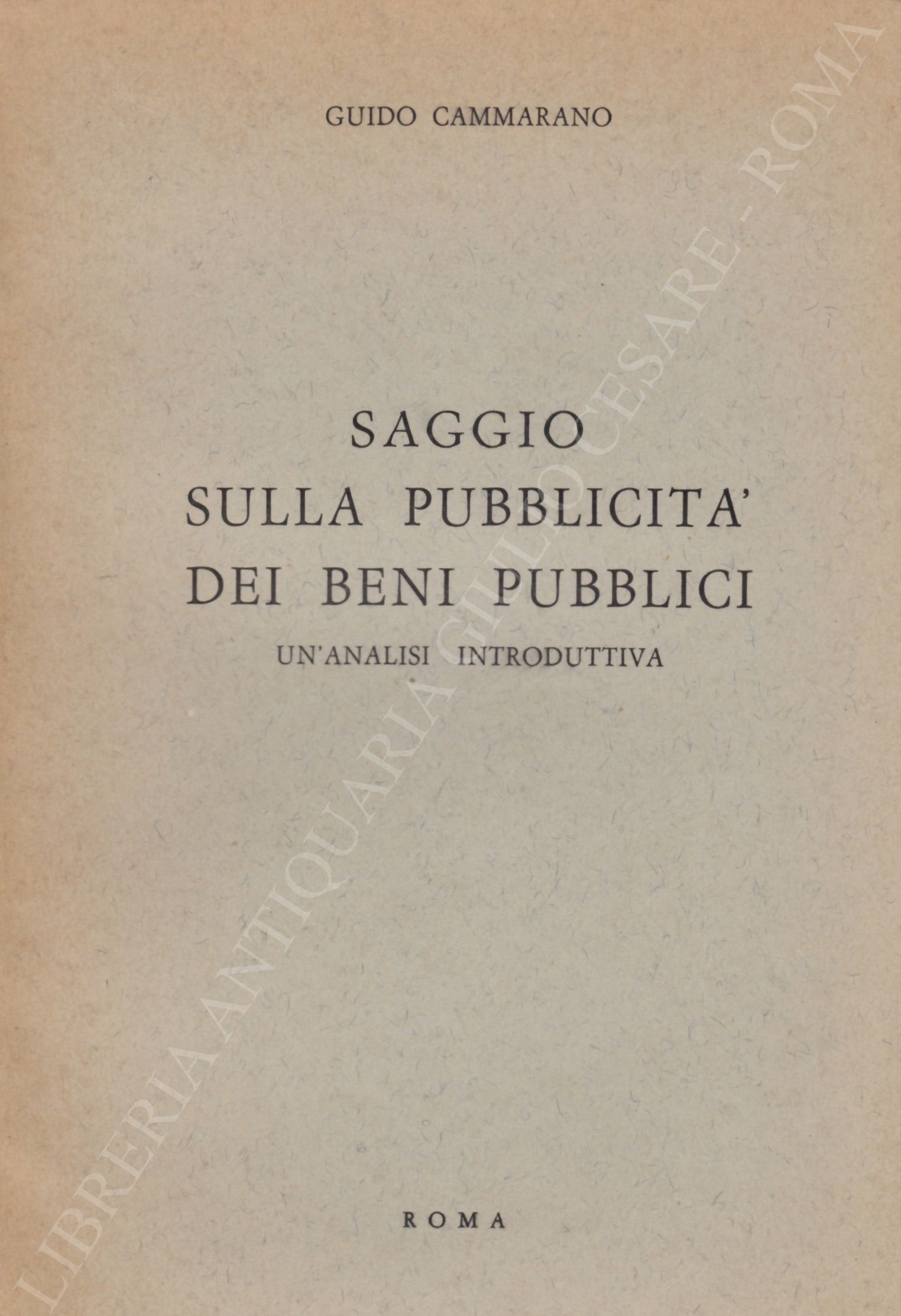 Saggio sulla pubblicità dei beni pubblici
