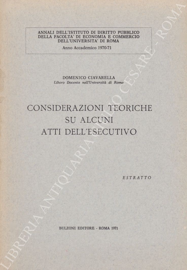 Considerazioni teoriche su alcuni atti dell'esecutivo 