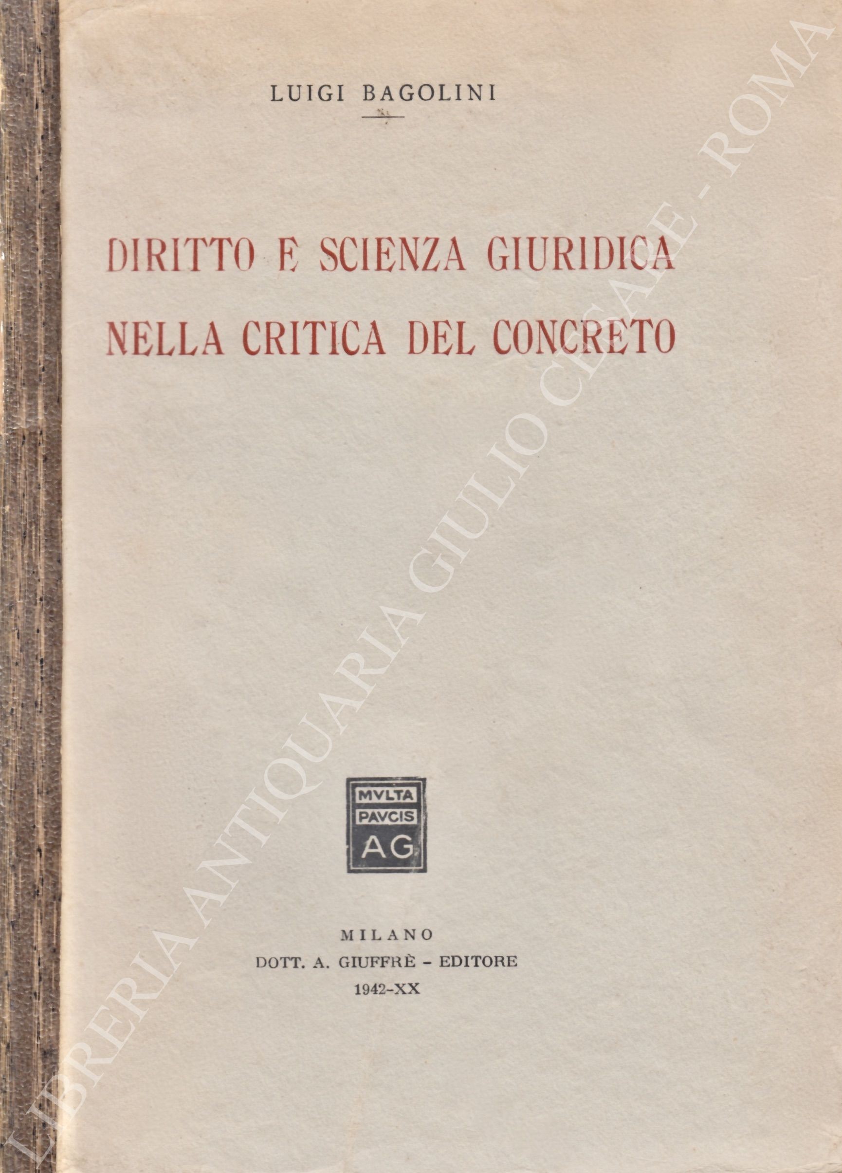Diritto e scienza giuridica nella critica del concreto