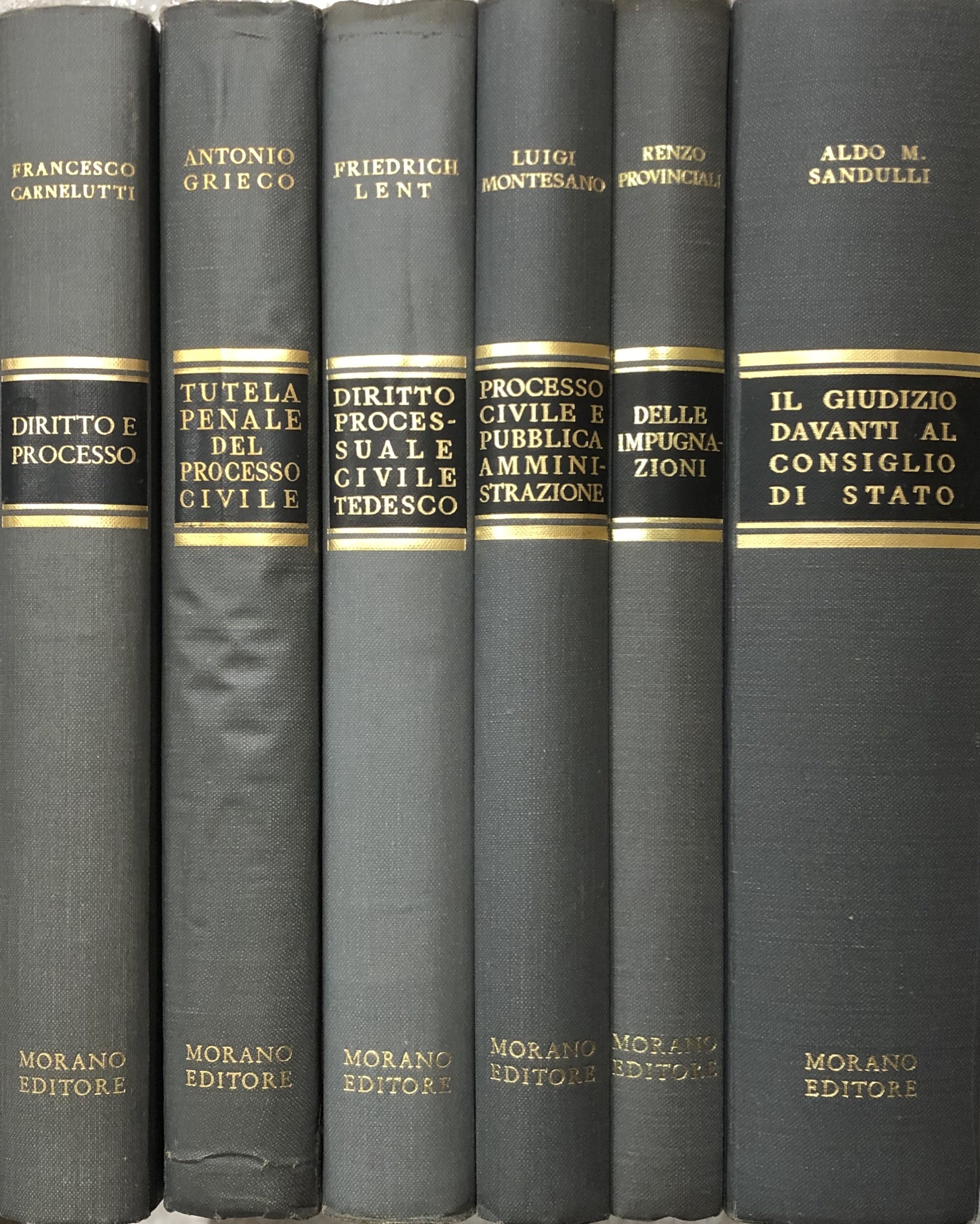 Trattato del processo civile