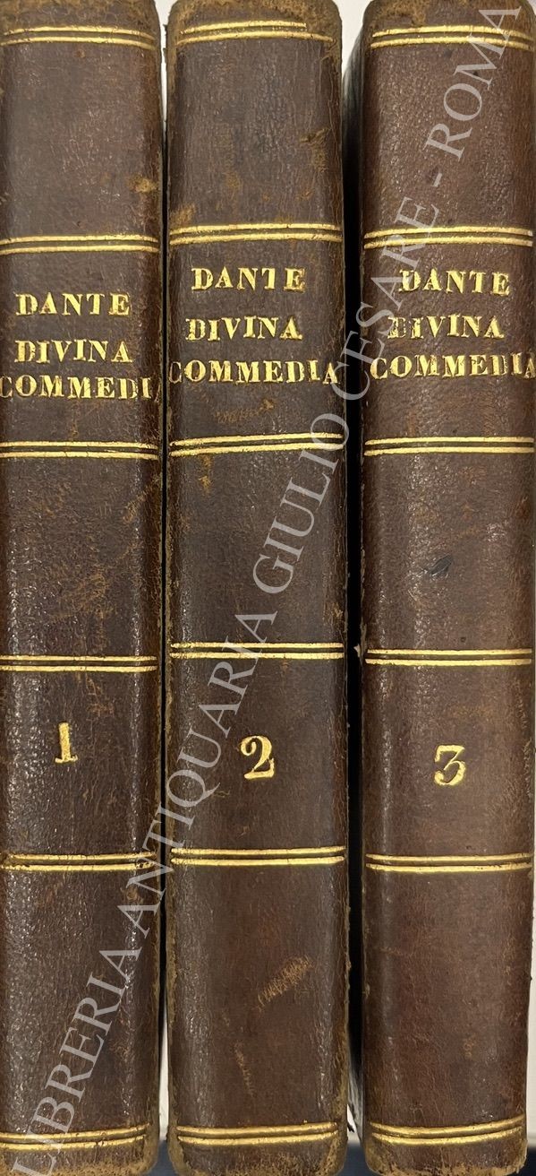 La divina commedia .. con note di Paolo Costa