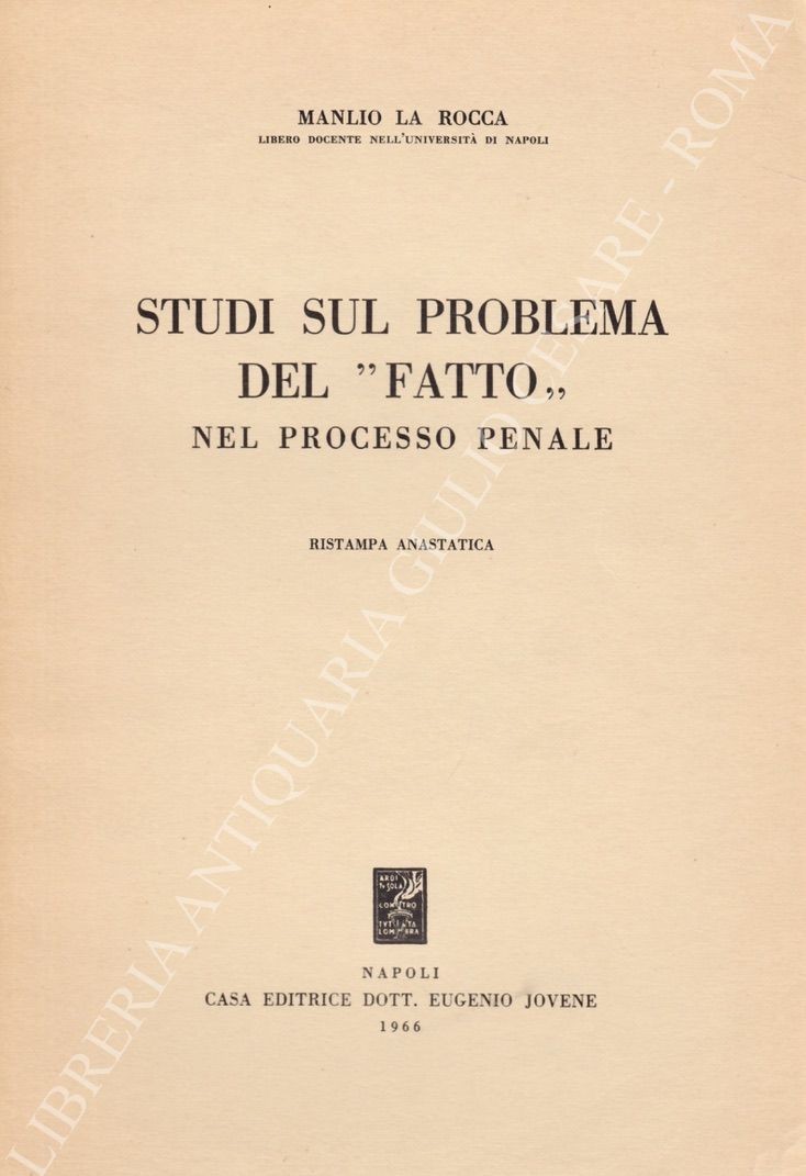 Studi sul problema del fatto nel processo penale