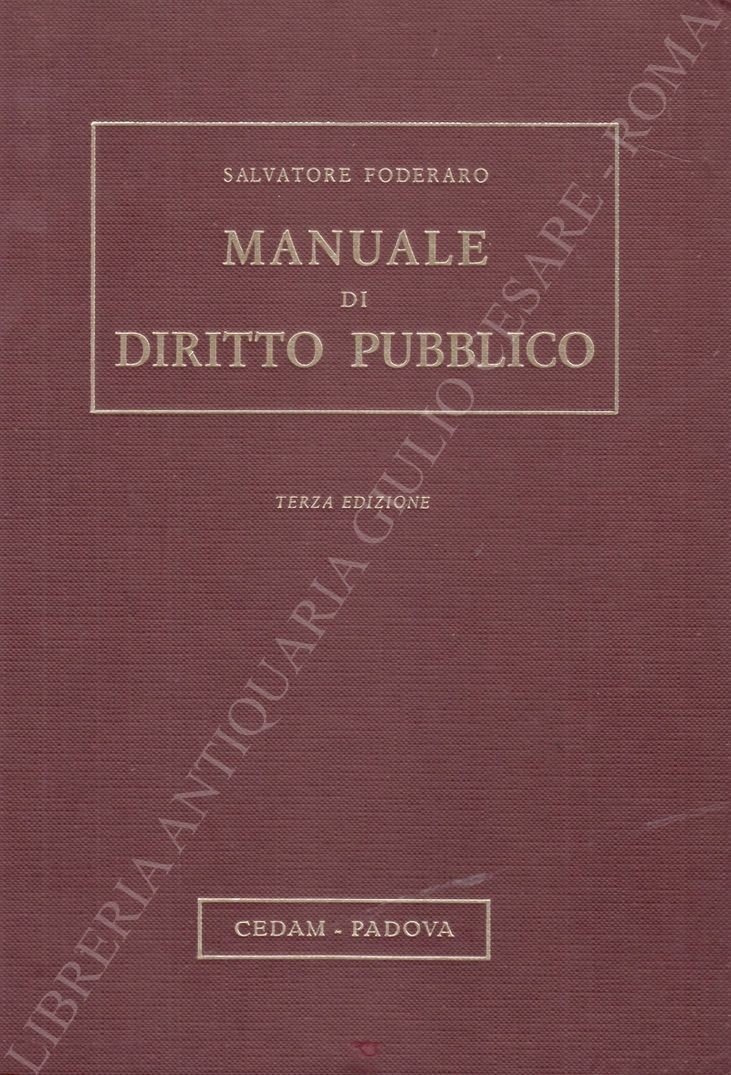 Manuale di diritto pubblico