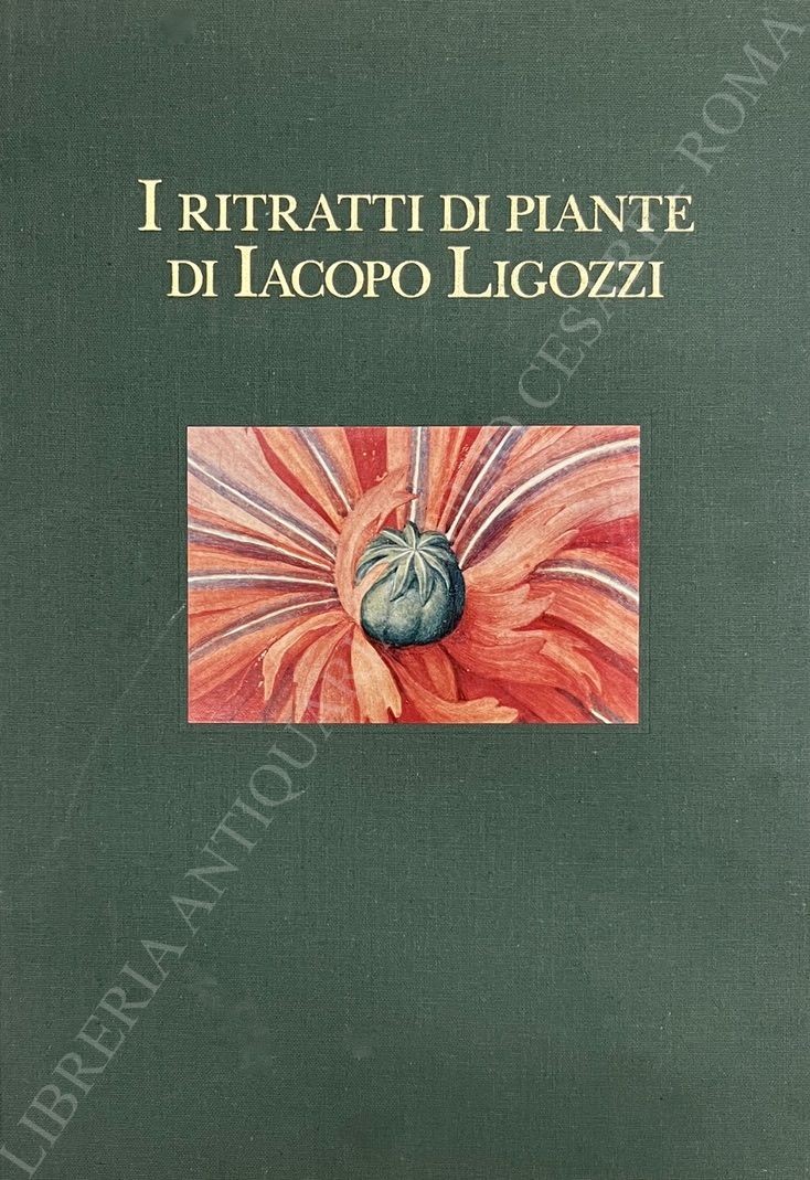 I ritratti di piante di Iacopo Ligozzi