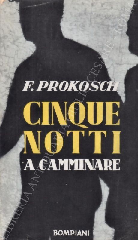 Cinque notti a camminare