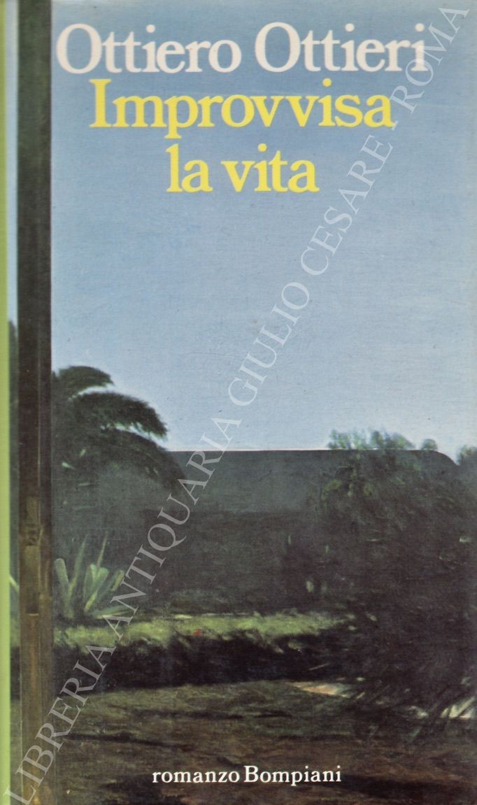 Improvvisa la vita