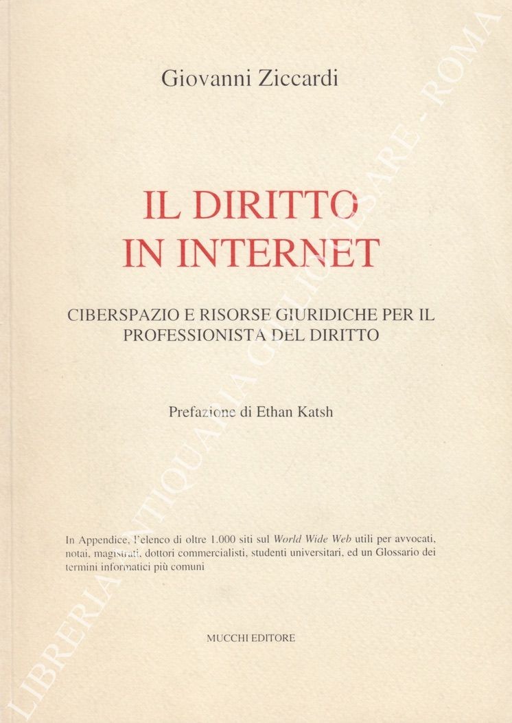 Il diritto in internet