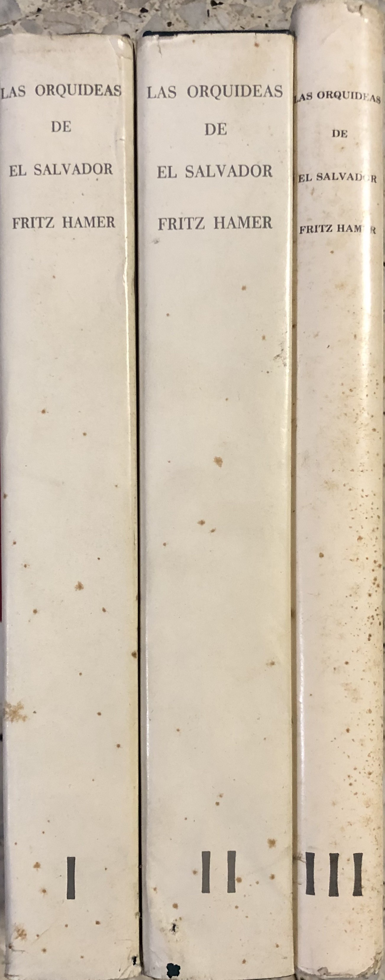 Las orquideas de El Salvador