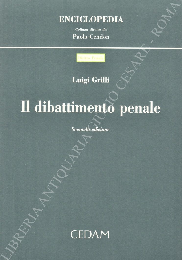 Il dibattimento penale