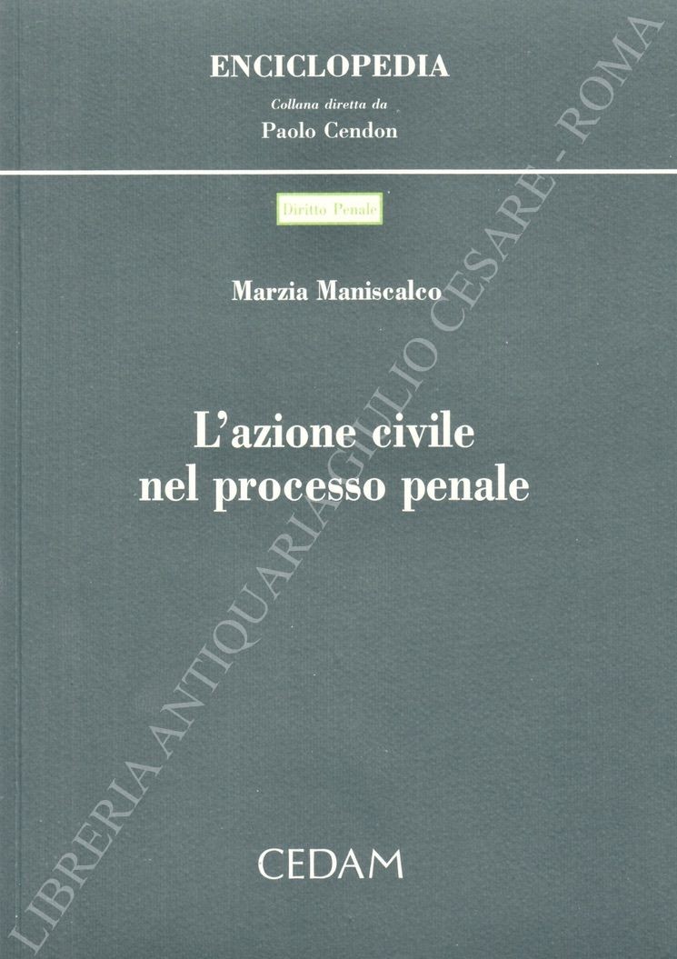 L'azione civile nel processo penale